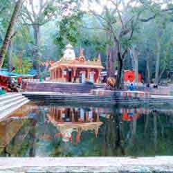 Chennai To Tirupati One Day Tour Packages | Padmavathi Travels